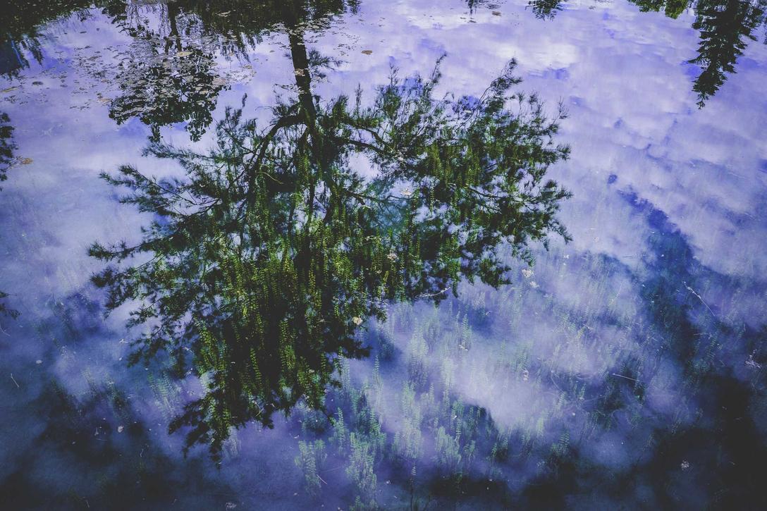 Itaque eius delectus necessitatibus